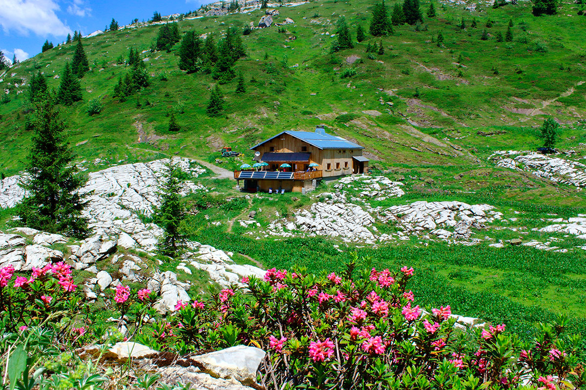 Refuge de Boston Tornay Pellissier sports samoens